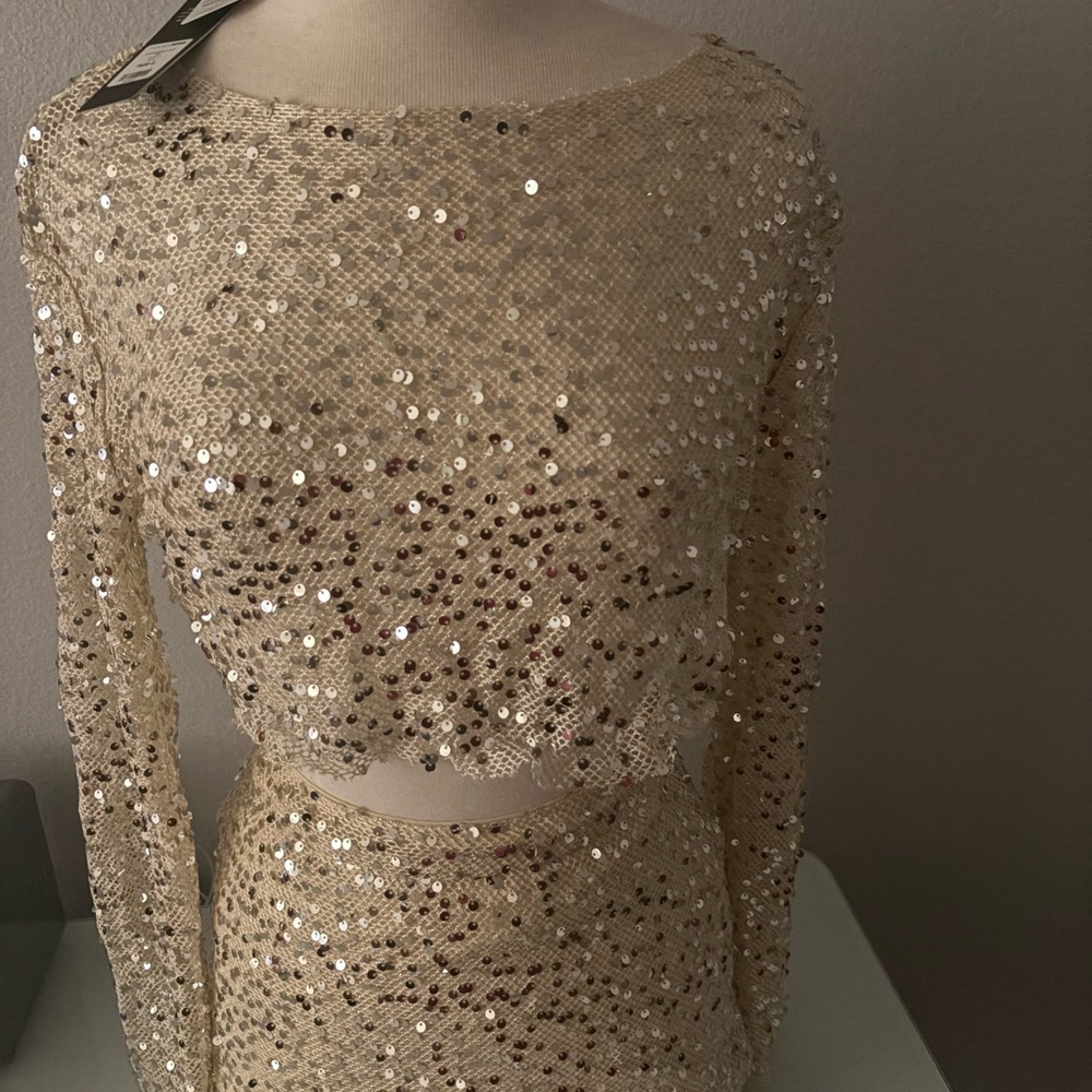 Sequin Crop Top and Skirt Set
